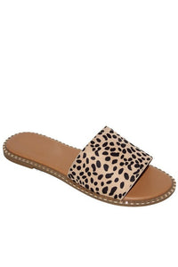 Cheetah Flats